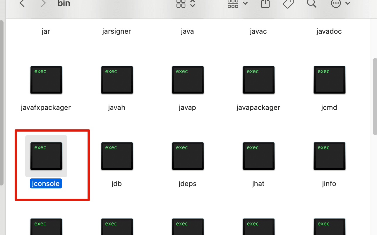 jdk-home-bin-jconsole.png